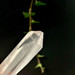 Lemurian Seed Quartz Crystal from Brazil- 12990