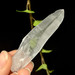 Lemurian Seed Quartz Crystal from Brazil- 12994