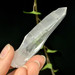 Lemurian Seed Quartz Crystal from Brazil- 12994