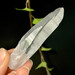 Lemurian Seed Quartz Crystal from Brazil- 12994