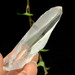 Lemurian Seed Quartz Crystal from Brazil- 12997