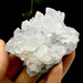 Clear Apophyllite Cluster from India- 13061
