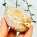 Agate Palm Stone-13168