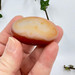 Gobi Desert Agate from Mongolia-13270