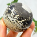 Picture Jasper Sphere- 13417