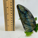 High Quality Labradorite Freeform from Madagascar- 13516