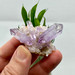 Veracruz Amethyst Cluster from Mexico-13662