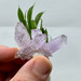 Veracruz Amethyst Cluster from Mexico-13663