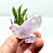 Veracruz Amethyst Cluster from Mexico-13664