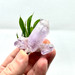 Veracruz Amethyst Cluster from Mexico-13664