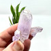 Veracruz Amethyst Cluster from Mexico-13664