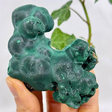 Botryoidal Velvet Malachite Specimen- 13557