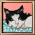 Mini Cat Portrait 23cm x 23cm