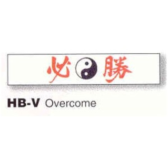 Overcome Headband 1