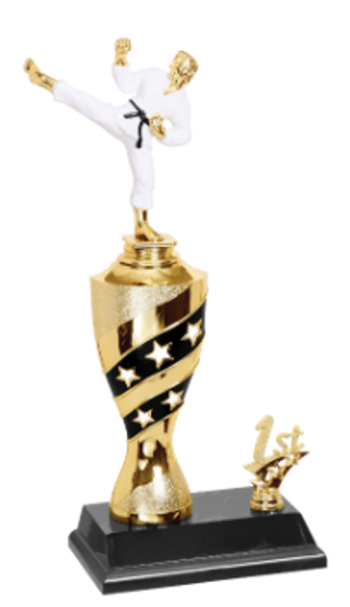 Black & Gold Martial Arts Trophy