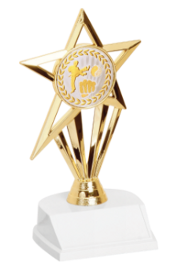 Martial Arts Star Trophy