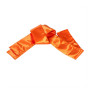 Nylon Sashes