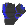 MMA STRIKING GLOVES (BLACK and BLUE)