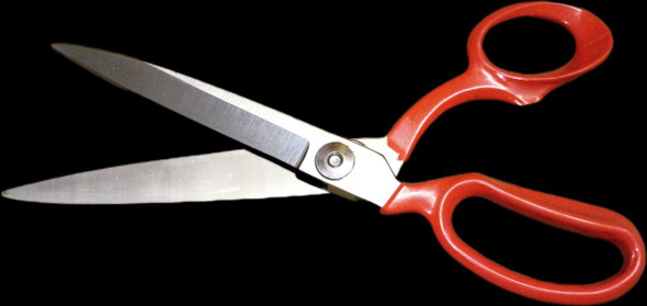 10in. Left Handed Shear