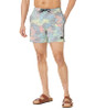 Hurley Phantom Naturals Sessions 16" Board Shorts