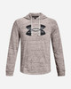 Under Armour Men's Rival Terry Logo Hoodie