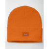 Dickies Cuffed Knit Beanie