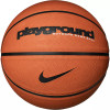 Nike Everyday Playground Graphic Basketball
