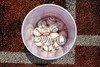 Rawlings Bucket of Practice Balls