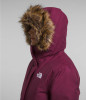 The North Face Womens Arctic Parka