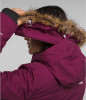 The North Face Womens Arctic Parka