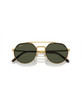 Rayban RB3765 Sunglasses