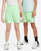 Nike Youth Dri-Fit Elite 23 Basketball Shorts