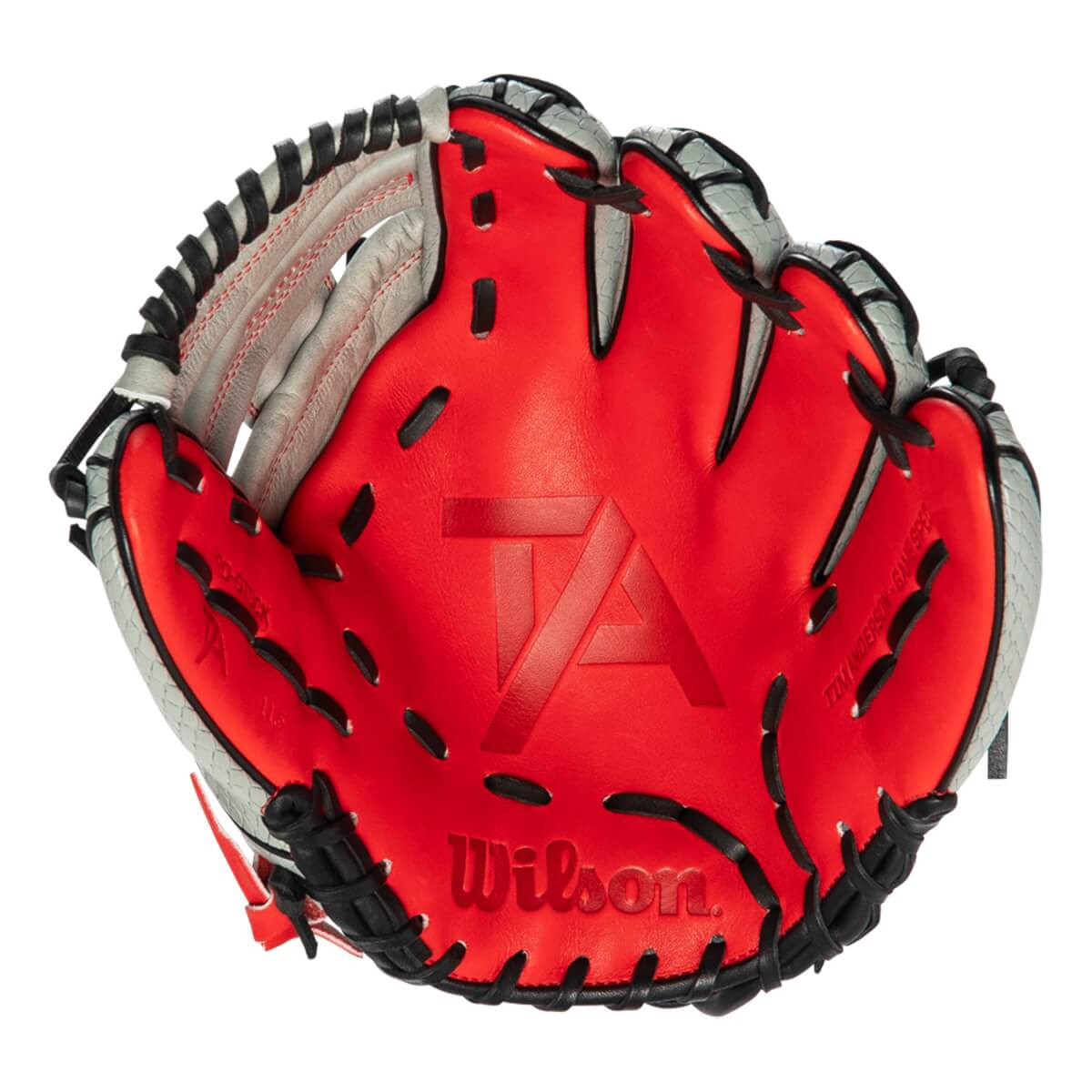 Wilson 2024 A2000 Tim Anderson Glove