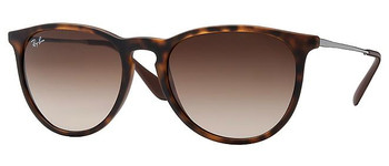 Rayban Erika Sunglasses