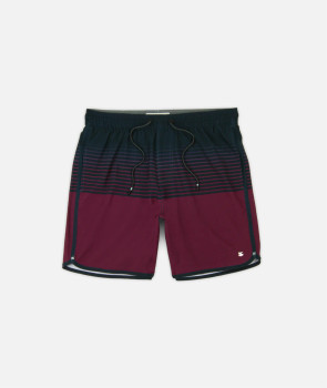 Jetty Men's Session Shorts