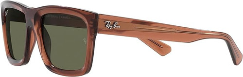 Rayban Warren Sunglasses