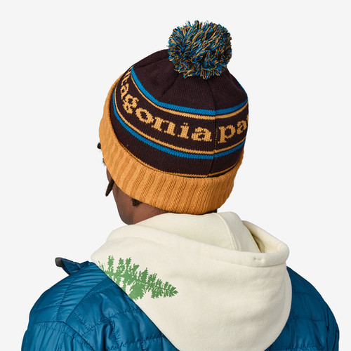 Patagonia Powder Town Beanie