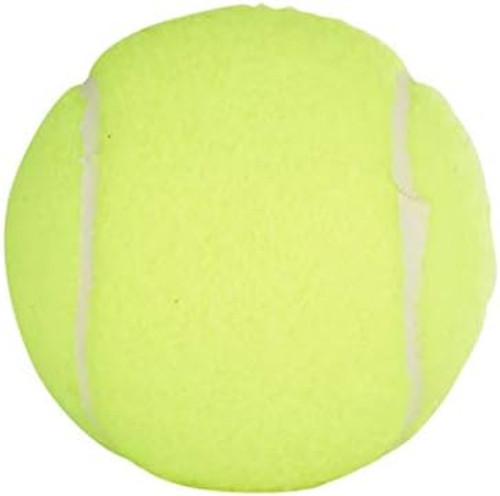 PENN Championship Extra Duty Tennis Balls