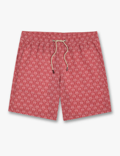 The Bayberry Trunk