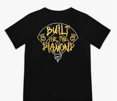 Baseball LS 101 Youth Built for the Diamond Tee