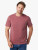 Fair Harbor The Saltaire Graphic Tee