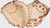 Rawlings Heart of the Hide 34" Catcher Mitt