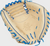 Rawlings Heart of the Hide Catcher's Mitt