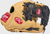 Rawlings Youth Select Pro Lite Volpe Glove