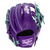 Rawlings Heart of the Hide Infield Glove