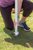 Sport-Brella Core Umbrella