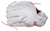 Mizuno MVP Prime Fastpitch Glove