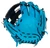 Mizuno Franchise Baseball Glove