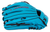 Mizuno Franchise Baseball Glove