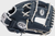 Rawlings Sure Catch Anthony Volpe Infield Glove